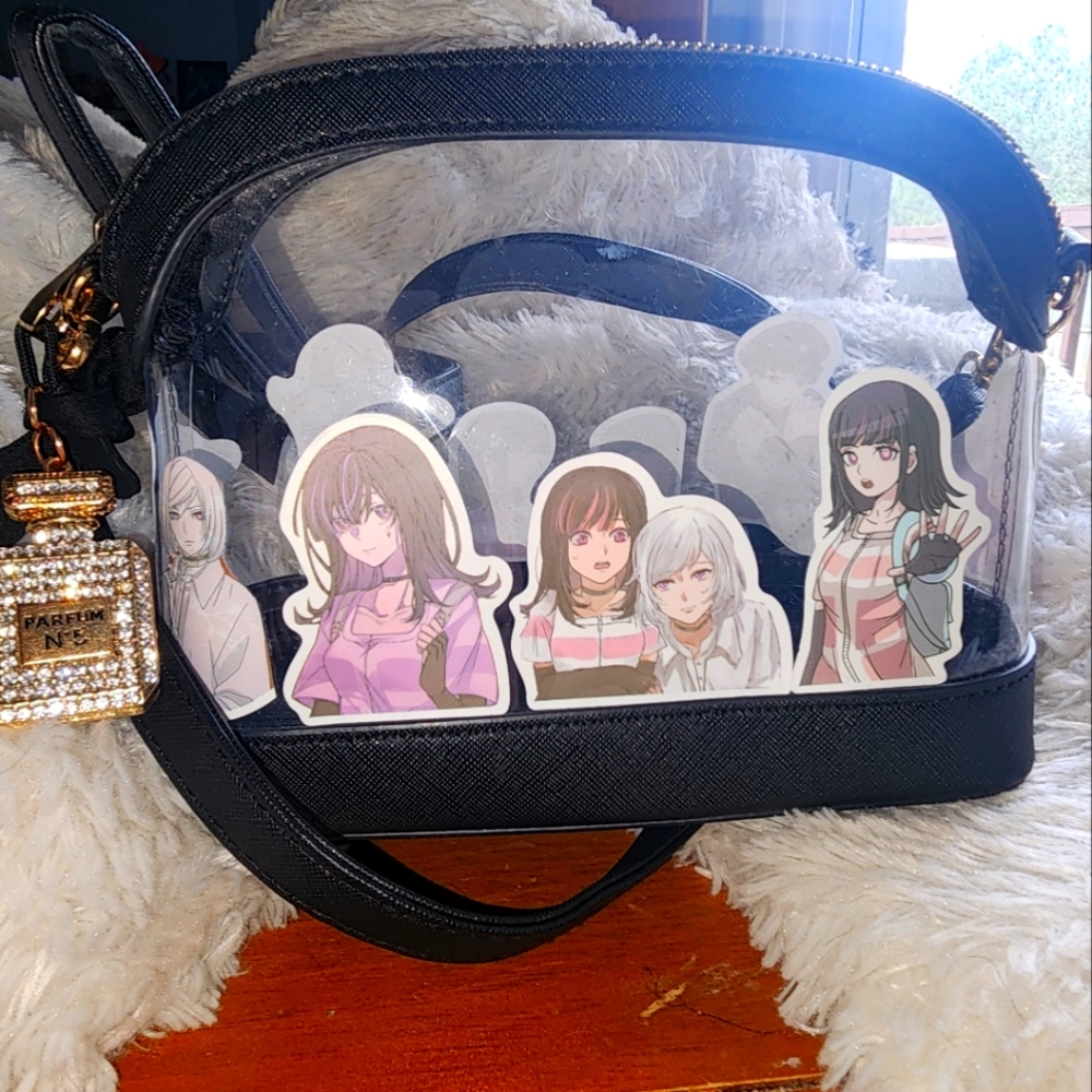 Transparent Crossbody bag